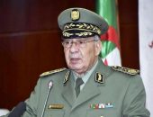 قائد الجيش الجزائري: مطالب بعض المتظاهرين غير عقلانية