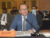 مندوب مصر الدائم لدى الاتحاد الإفريقي يُشارك  في خلوة لمجلس السلم والأمن الإفريقي حول أساليب عمل المجلس وتعزيز دوره