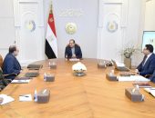 “السيد الرئيس عبد الفتاح السيسي يتابع الموقف التنفيذي لتنمية سيناء”.