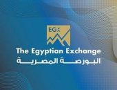 البورصة المصرية تؤكد على جاهزيتها  لاستقبال الطروحات المعلن عنها