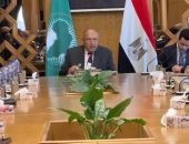 وزير الخارجيةالمصري يلتقي السفراء الأفارقة بمناسبة يوم إفريقيا