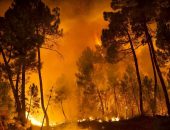 ارتفاع حصيلة ضحايا حرائق الغابات في هاواي إلى 89 شخصا