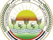 وزارة الزراعة تطمئن على القمح والمحاصيل الشتوية وبرامج إنتاج التقاوي فى محافظتي الغربية وكفر الشيخ