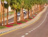 وزيرة البيئة تستعرض تقريرا حول جهود الوزارة فى تنفيذ المبادرة الرئاسية وأنشطة التشجير على مستوى محافظات الجمهورية خلال عام 2022