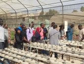 زيارة وفد افريقي للمعمل المركزي للمناخ الزراعي التابع لمركز البحوث الزراعية