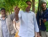 الزراعة: الأنشطة الإرشادية والخدمية والبحثية لمعهد أمراض النباتات خلال شهر ابريل 2024