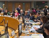 سامح شكري يدعو إلى ضرورة تضافر التحركات العربية والأوروبية للوقف الفوري للحرب الإسرائيلية على غزة، وضرورة تحمل إسرائيل المسئولية القانونية عن الأوضاع الإنسانية في القطاع