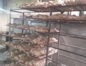 بناء على تعليمات معالي الوزير الدكتور/  علي المصيلحي وزير التموين والتجاره الداخليه  وتعليمات معالي محافظ القليوبيه اللواء/  عبد الحميد الهجان وتوجيهات وتعليمات المهندسة / منال إحسان  وكيلة مديرية  التموين و التجارة الداخلية بالقليوبيه .