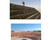 وزير الإسكان: تشغيل 50 كم من مشروع ازدواج طريق سيوة / مطروح بطول 300 كم.. وهى المسافة الأكثر خطورة وتسجيلا للحوادث على الطريق القائم