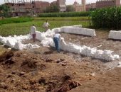 إزالة عدد ٣حالات تعدى بالبناء على أرض زراعيه بقرية المنيرة