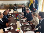 وزير الخارجية يبحث مع نظيره السويدي مستجدات الأوضاع في غزة