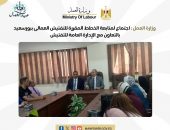 وزارة العمل : اجتماع لمتابعة الخطط المقررة للتفتيش العمالى ببورسعيد بالتعاون مع الإدارة العامة للتفتيش ..