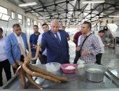 محافظ الوادي الجديد يتفقد نجاح تجربة زراعة نبات (الكسافا)