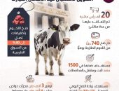 أعلنت وزارة التموين والتجارة الداخلية، عن التعاقد علي 20 ألف رأس ماشية من عدة مناشئ تمهيدًا لضخها في 1500 منفذ ما بين مجمعات استهلاكية وسيارات متنقلة وشوادر على مستوى الجمهورية