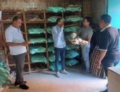 جهود الوحدة المحلية لمركز ومدينة سمسطا في ملفات النظافة ورفع الإشغالات وتحسين مستوى الخدمات