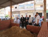 وزارة التنمية المحلية تتابع جهود محافظة كفر الشيخ، في تنفيذ الخطة الاستثمارية للمحافظة والتي تتضمن رصف الطرق وتجميل الميادين وتحسين البيئة.