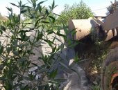 إزالة فوريه لحالة تعدي لبناء سور بالطوب الأبيض بقطاع أبو الغيط مدينةالقناطرالخيرية