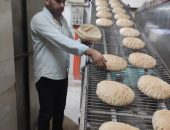 الحملات تضبط العديد من المخالفات التموينية المتنوعة بعدد 12 مركز ومدينة بنطاق محافظة الدقهلية..