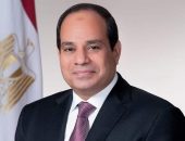 محافظ بني سويف يهنئ فخامة السيد الرئيس عبدالفتاح السيسي بذكرى ثورة  30 يونية المجيدة