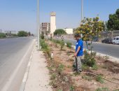 الجهاز التنفيذى بحى شرق  يستمر باعمال التحسين البيئى بزراعه و تجميل واعاده الرونق الحضارى لشارع ترعه الاسماعيليه