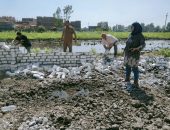 محافظ كفرالشيخ يتابع جهود إزالة التعديات على الأراضى الزراعية ومخالفات البناء .. تنفيذ إزالة 330م2 بدسوق