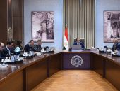 رئيس الوزراء يستعرض 4 مشروعات جديدة مقترحة لتحالف “سيجنفاي فيليبس وجيلا ” باستثمارات 100 مليون دولار
