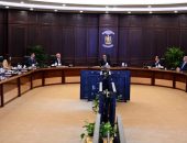 رئيس الوزراء يبحث سبل زيادة حجم استثمارات الشركات اليابانية في السوق المصرية