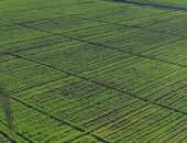 الزراعة” تستعرض انجازات برنامج دعم صغار المزارعين في صعيد مصر والدلتا للعام المالى 23/24