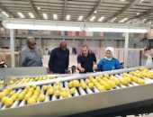 الزراعه : 10 سفراء أفارقة تجمع «السادك SADC» يتفقدون محطات التصدير بالطريق الصحراوى في زيارة ميدانية فريدة