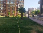 جهاز تنمية مدينة الشروق يعلن بدء زراعة 3500 شجره مُثمرة بعدة أحياء ومناطق بالمدينة