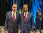 وزير الخارجية والهجرة والمصريين بالخارج يلتقي رئيس الصومال