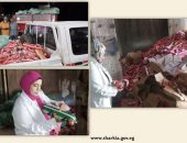 محافظة الشرقية لضبط سوق اللحوم والدواجن والأسماك …بيطري الشرقية يضبط ( ١١طن و ١٦٥ كجم ) مصنعات لحوم مخالفة خلال الحملات التفتيشية بمركز ومدينة بلبيس
