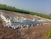 البحيرة تواصل حملات الموجة الـ ٢٣ لإزالة التعديات ..