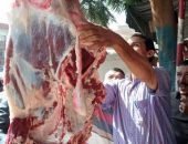 محافظ المنيا: ضبط 283 مخالفة خلال حملات تفتيشية تموينية مكبرة على المخابز والأسواق