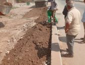 توجيهات المهندس عبد المطلب عمارة محافظ الأقصر لرؤساء المراكز والمدن بتنفيذ أعمال المبادرة الرئاسية 100 مليون شجرة