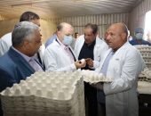 محافظ كفرالشيخ يتفقد ‏محطة الوفاء لإنتاج البيض بعاصمة المحافظة .. تنتج 15 مليون بيضة سنويًا