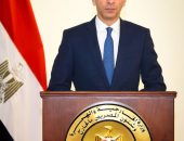 وزير الخارجية يصدر قرارا بتعيين السفير/ تميم خلاف متحدثا رسميا باسم وزارة الخارجية