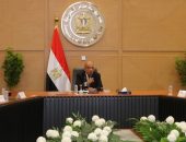 الدكتور محمود عصمت: الدولة عازمة على التصدى لظاهرة سرقة التيار الكهربائي ..وتنسيق تام مع مختلف الجهات المعنية