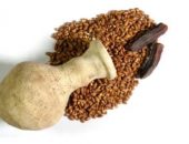 تعرف على القطع الأثرية التي تم اختيارها لتكون القطع المميزة لشهر سبتمبر بمتاحف الآثار على مستوى الجمهورية