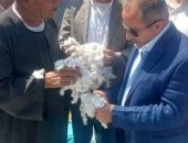 الزراعة تتابع في بورسعيد المحاصيل الاستراتيجية وحل مشكلات المنتفعين  وتحصيل مستحقات الدولة