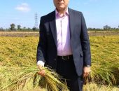 محافظ كفرالشيخ يشهد افتتاح موسم حصاد الأرز بمزرعة ميت علوان .. وسط المزارعين ويهنئهم بمناسبة عيد الفلاح الـ 72