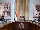 رئيس الوزراء يتابع إجراءات تفعيل وكالة ضمان الصادرات والاستثمار في افريقيا