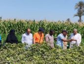 محافظ الفيوم يتابع جهود مديرية الزراعة خلال شهر أغسطس الماضي