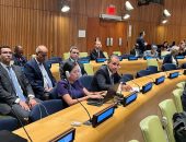 وزير الخارجية والهجرة يُشارك في الحوار التفاعلي لقمة المستقبل المعني بـ”تحول الحوكمة العالمية وتعزيز تنفيذ أجندة ٢٠٣٠ للتنمية المستدامة”
