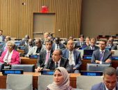 وزير الخارجية والهجرة وشئون المصريين بالخارج يلقي كلمة مصر خلال اجتماع وزراء خارجية