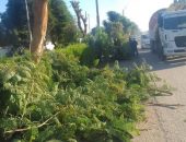 سيد صادق رئيس مركز ومدينة الطود يوجه برفع كفاءة الطرق ومستوي النظافة والتجميل بناء علي توجيهات المهندس عبدالمطلب عمارةمحافظ الاقصر