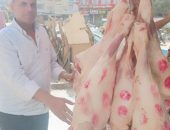 محافظة الجيزة تضبط ٧ طن لحوم ودواجن غير صالحة للإستهلاك الأدمى ومجهولة المصدر