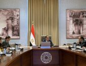 الحكومة تُدبّر التمويل اللازم لشراء الأقطان المصرية