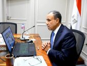 وزير الخارجية والهجرة وشئون المصريين بالخارج يعقد لقاء افتراضياً مع ممثلي الجالية المصرية في قطر