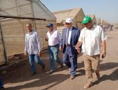 الزراعة: تعاون اتحاد الحاصلات البستانية والبحوث الزراعية في انتاج محاصيل التصدير في صوب “قها”